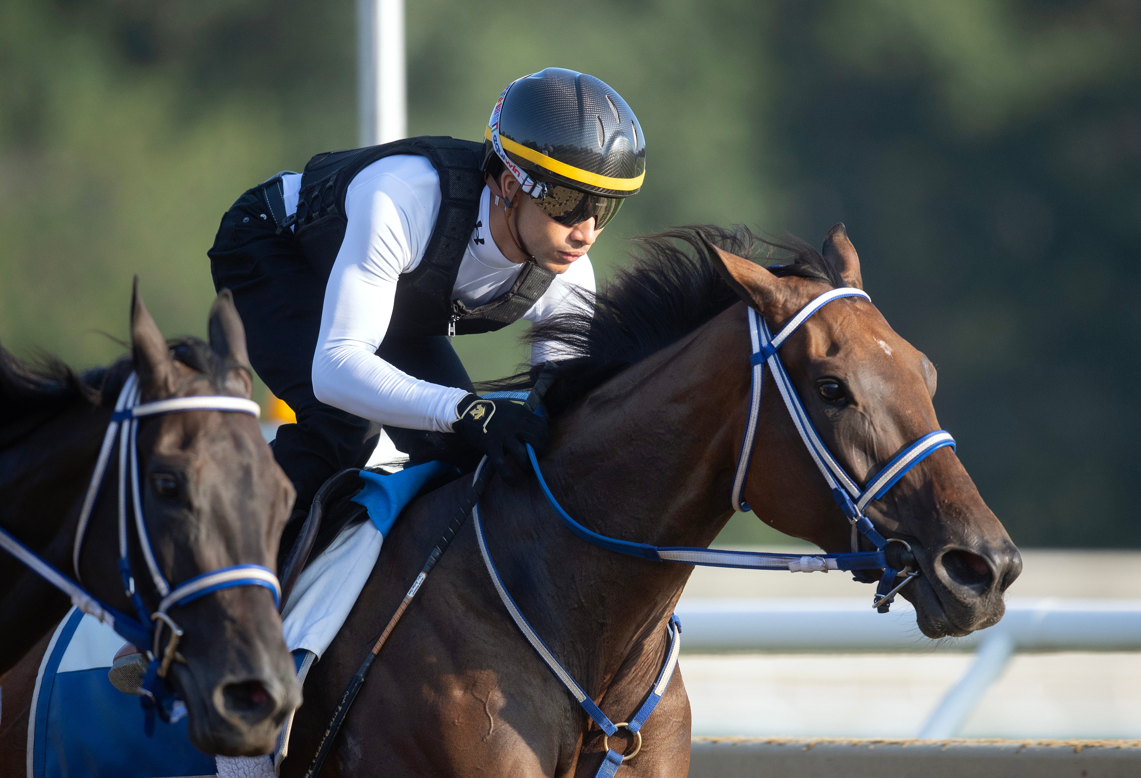 Thorpedo Anna's work for Personal Ensign doesn't go as planned